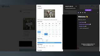 Faster Scheduling | Fansly Extension