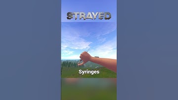 HOW TO STRAYED PART 2 - HEALING!