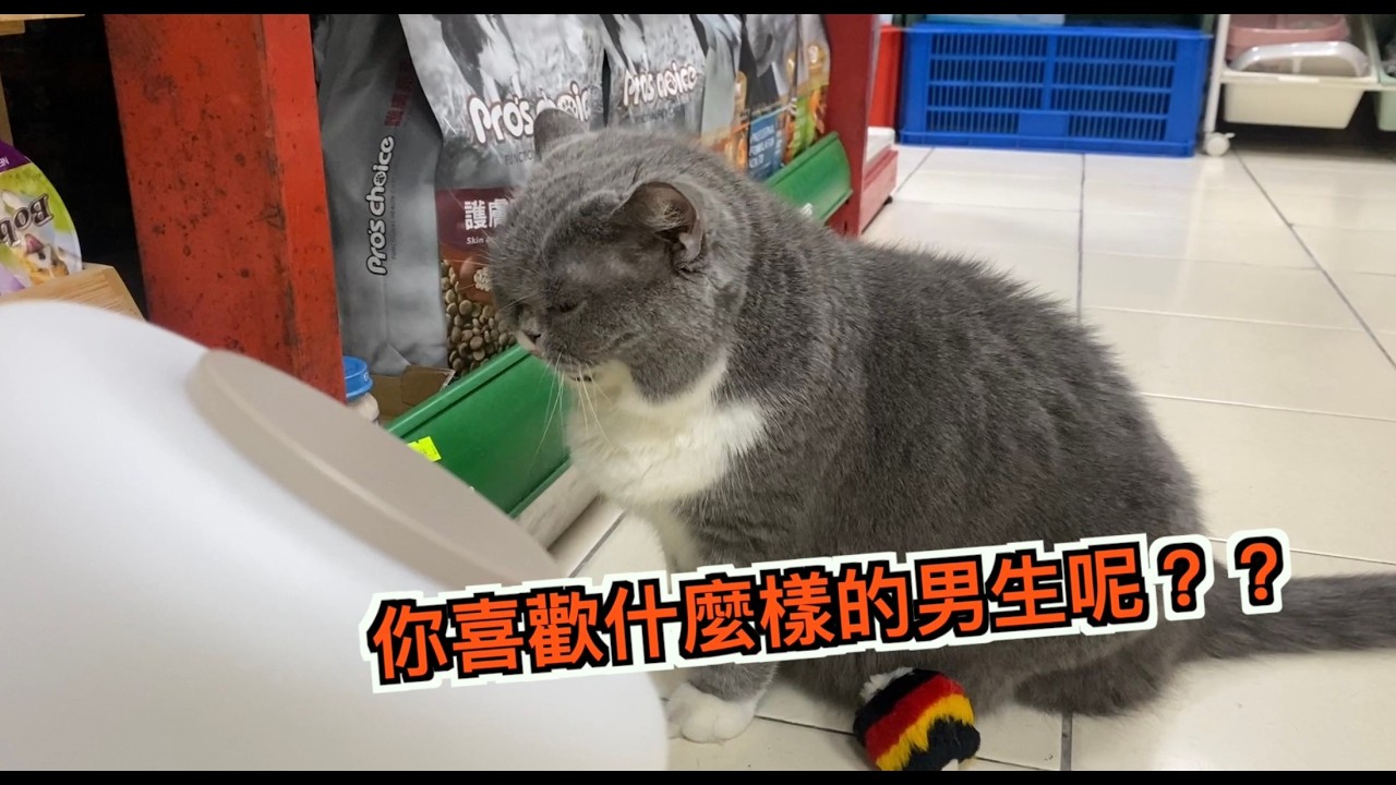 寵物配對系列-哈比寵物生活百貨