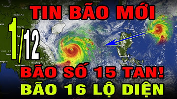 KHẨN: BÃO SỐ 15 TAN! BÃO 16 NGUY CƠ HÌNH THÀNH?