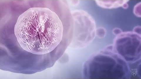 Pharmacogenomics: The Right Drug, for the Right Patient, at the Right Dose