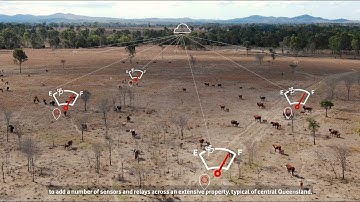 Connecting Smart Farms with Vodafone IoT
