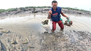 Siapa sangka bisa dapat kepiting sebanyak ini saat panen udang windu di tambak tradisional 