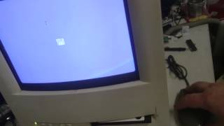Black ADB Mouse Test