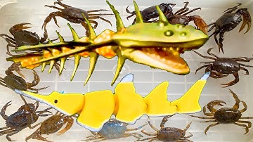 Kem Ốc Chanel nhờ khủng long cá mập bắt cá mập tiền sử, cứu con cua, cá sấu, con rắn, cá bống.