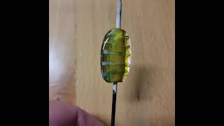 Lampwork Glass Beads: Vertebrae Ditty