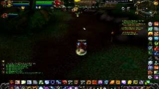 shamanbug