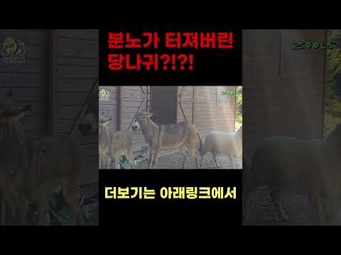 <strong>분노란</strong> 것이 폭발해 버렸습니다.. ㄷㄷ