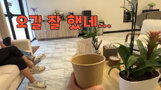🇺🇸미국일상 | 미국 🇺🇸일상 브이로그  / 몽고메리  미용실 Eto Hair  Eto Hair / 온가족 플루샷!/ 아틀란타 나들이