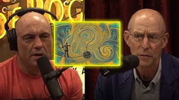 How Dangerous Are Psychedelics? | Joe Rogan Experience