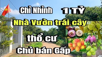 Chính chủ bán gấp nhà vườn, đủ loại trái cây, thổ cư, tại huyện cẩm mỹ cũ, đồng Nai
