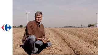 De Aardappelen Kwaliteitsketen Carrefour Puur Genot, Als Puree Of Gratin Dauphinois