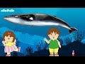 S2-E22 : Ayo Temukan - Jenis Ikan Paus | Puri Animation