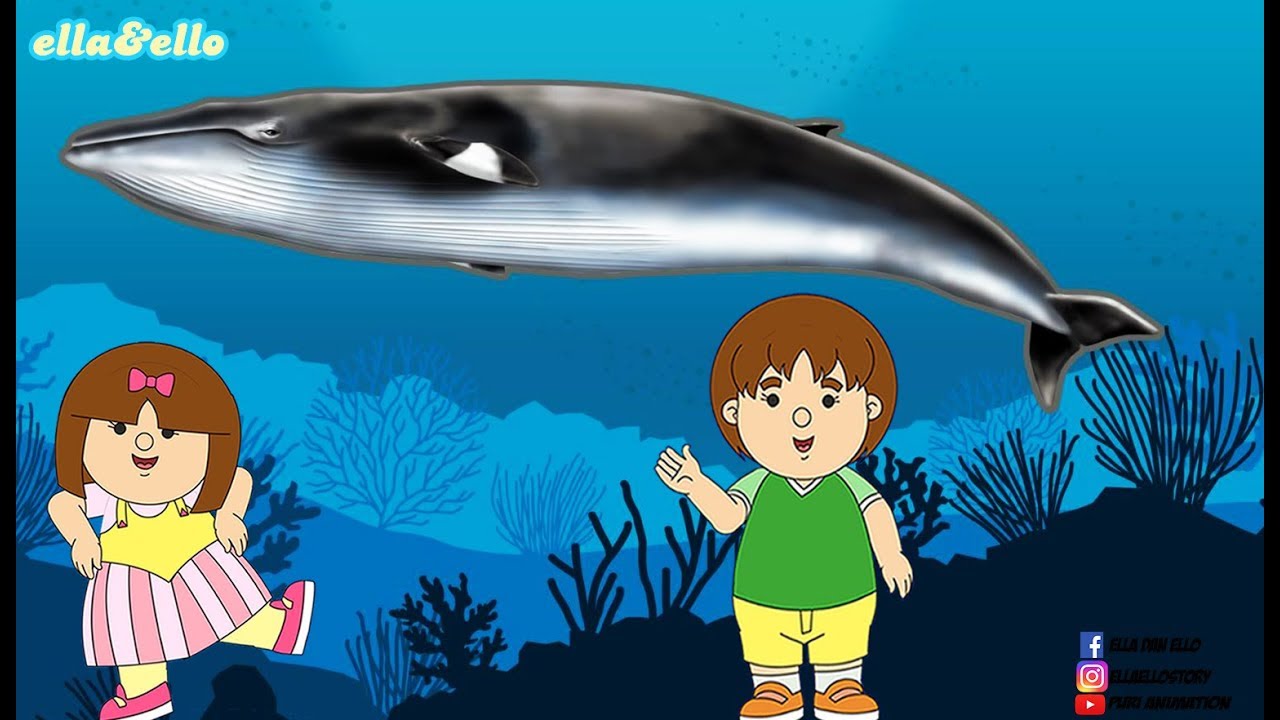 Kartun Tangan Menggambar Ikan Paus