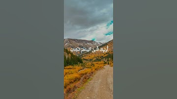 سورة الأنعام: القارئ سعد الغامدي