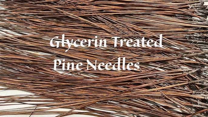 Making Pine Needle Baskets From Local Materials - Joybilee® Farm