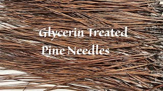 Glycerin treating pine needles for pine needle baskets