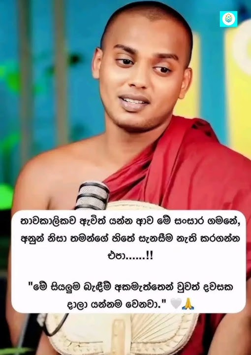 🙏🙏🙏🙏🙏 #wadan