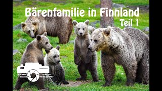 Bärenfamilie in Finnland Teil 1, Bär Braunbär Naturfilm Tierfilm Naturdoku Tierdoku brown bear cubs