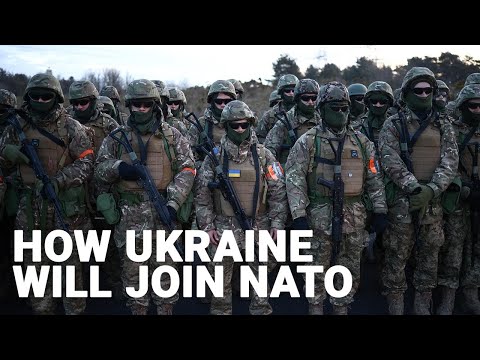 NATO will only