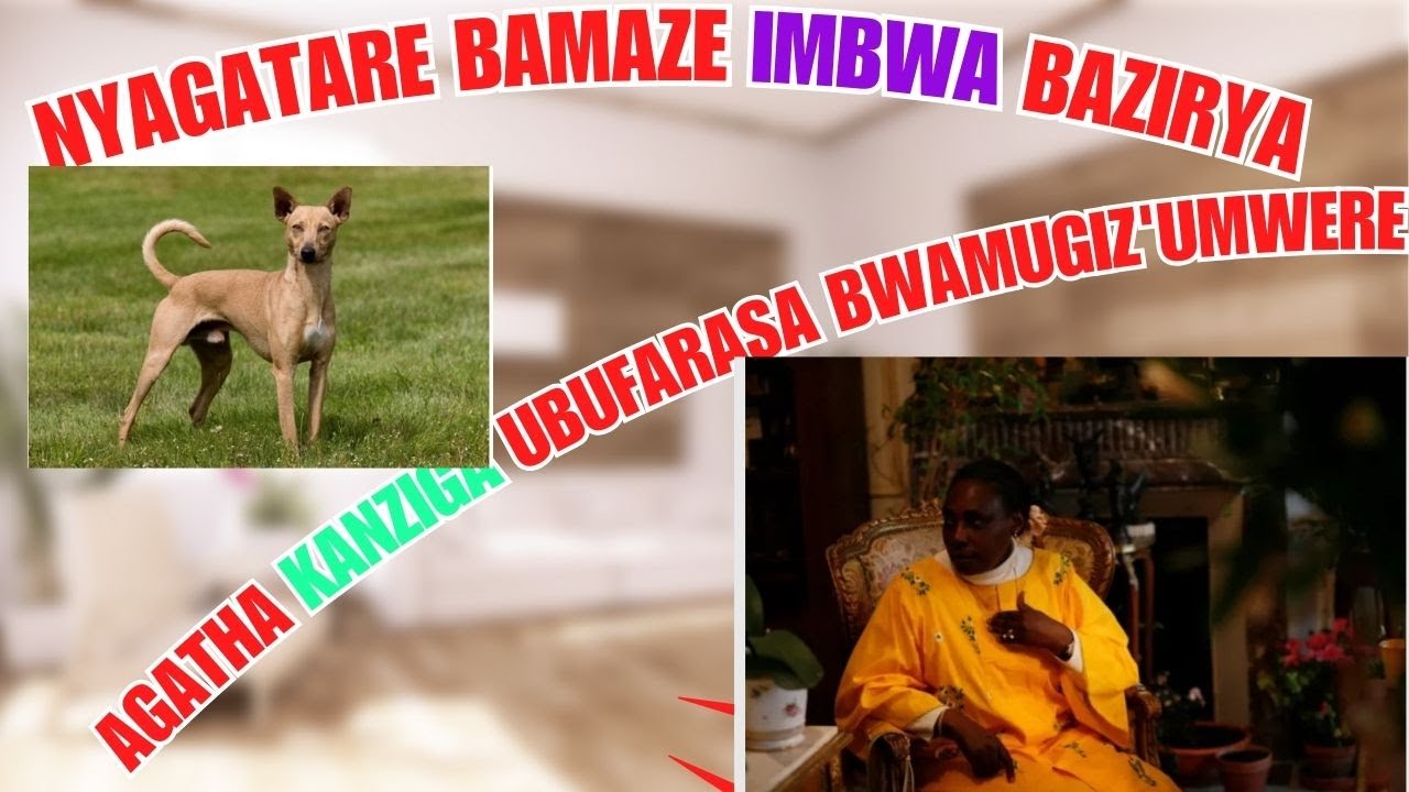 INYAMA Z'IMBWA I NYAGATARE ZIRAVUZ'UBUHUHA NONEHO NIZO BURUSHETE ...