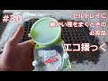 #30　セルトレイに種まきするときの便利アイテム！その名もエコ播っく