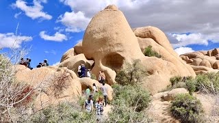 ... located along the main east-west park road, skull rock is a
favorite stop for visitors. parking spot loc...