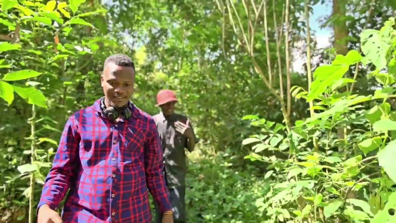 Enyikara Yabuli Kiro