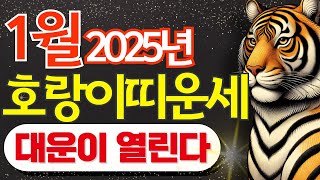 2025년 호랑이띠 1월 운세🔥 대박 기운의 시작, 76세, 64세, 52세, 30세, 28세,  놓치면 후회할 특별한 한 달!, #호랑이띠운 #호랑이띠운세