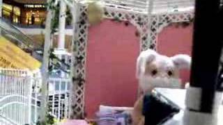 Liam and the Easter Bunny 2008