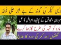 Keekar Ki Gond Ke Fayde کیکر کی گوند کے بے شمار طبی فوائد ہیں 