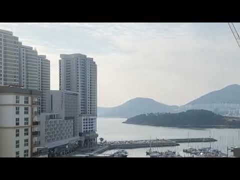 Yeosu Harbor live cam preview