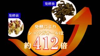 テイクオン ・天然由来のサプリメント　　飲む黒生姜 発酵BLACK GINGER(ブラックジンジャー)