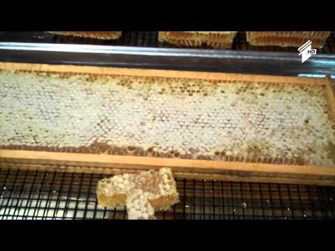 \"ფერმა\" - ქართულ კარტოფილს, მურაბას, ჩაისა და თაფლს გეოგრაფიული ინდიკატორები მიენიჭება