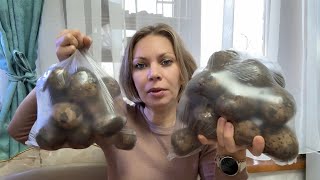 ПОКУПКИ ИЗ ДИКСИ