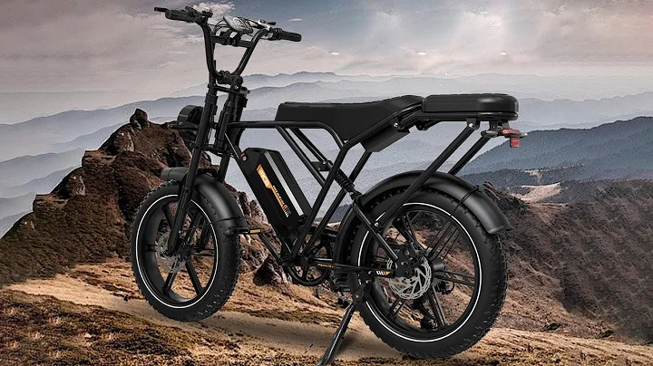 RCB G19 Electric Bike 250W Motor 48V 20.8AH Battery 20*4 inch Tire All-Terrain Electric Bike