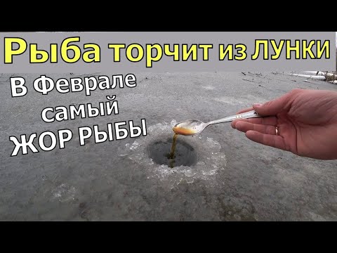 Лейте это в лунку. В феврале вся рыба клюёт на это. Активатор клева своими руками. Зимняя рыбалка