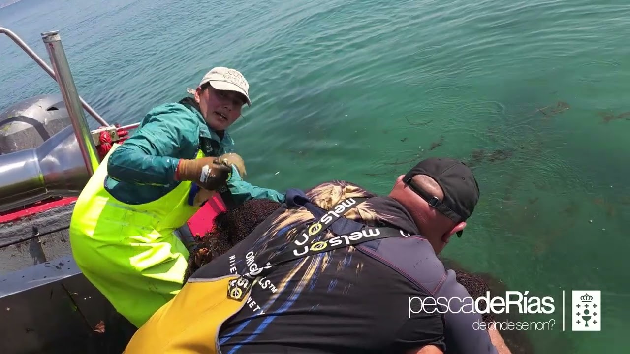 Marta Franco, armadora de artes menores, únese á Tripulación pescadeRías