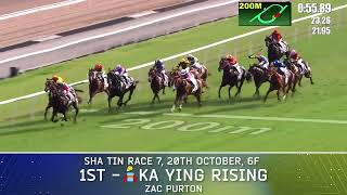 Horses to Follow Ep 7