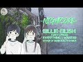 [Nightcore] Billie Eilish - Everything I Wanted (Cover by Denis Kalytovskyi) ( With Lyrics )