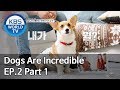 Dogs are incredible | 개는 훌륭하다 EP.2 Part 1 [SUB : ENG/2019.12.04]