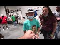 MY FIRST TOM BRADY BOWMAN CHROME ROOKIE | Las Vegas Card Show Day 1 Vlog