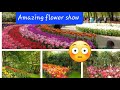 Beautiful flower show   flowershow  creativeanshika