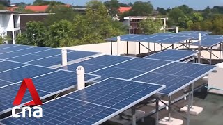 Govt to start making regular progress reports on public sector sustainability initiatives