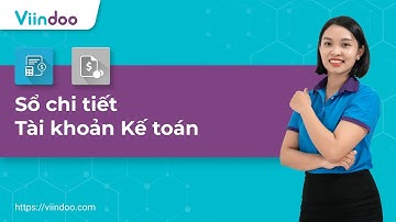 [HDSD] Viindoo Accounting - Sổ chi tiết Tài khoản Kế toán | 14.0