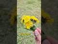 olha o que o João me deu