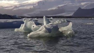 Tundra Biome