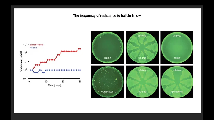 A Deep Learning Approach to Antibiotic Discovery