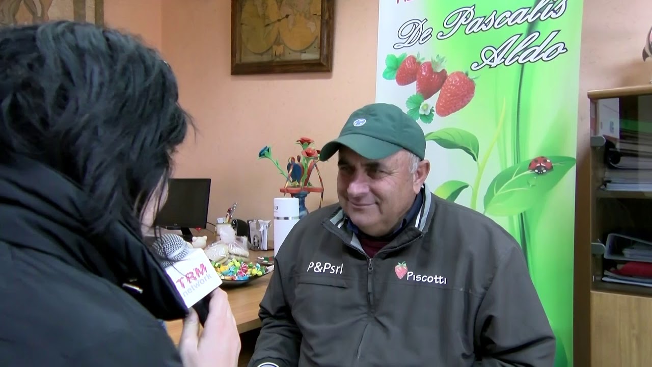 Rogo a Scanzano Jonico: parlano i titolari dell'azienda De Pascalis