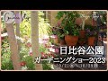 庭作りのヒントがあふれていました*真似ることから始める庭作り